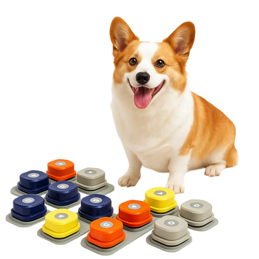 Talking Button Set with Recordable Voice Commands